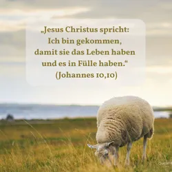 Beitragsbild
