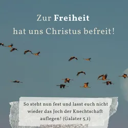Beitragsbild