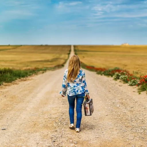 Vorschau für Artikel "Verletzlichkeit"